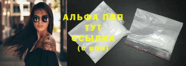 PSILOCYBIN Козловка