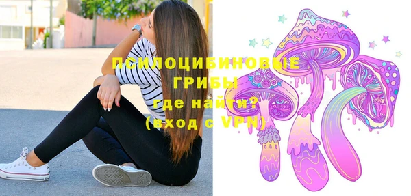 PSILOCYBIN Козловка