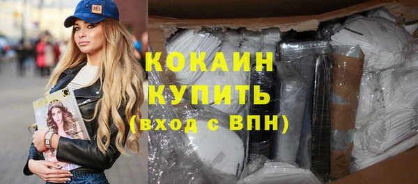 сатива Кодинск