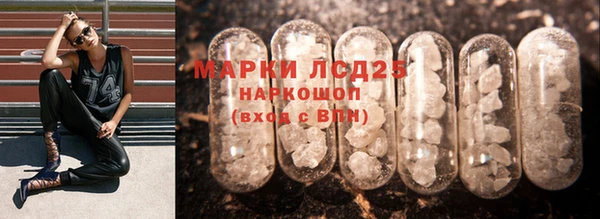 PSILOCYBIN Козловка