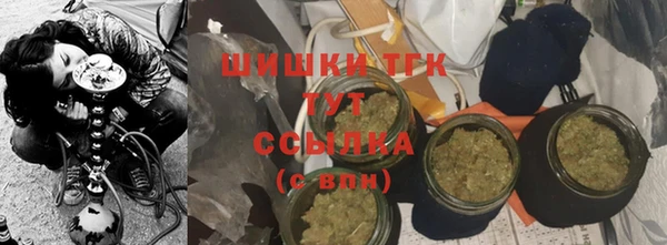 PSILOCYBIN Козловка
