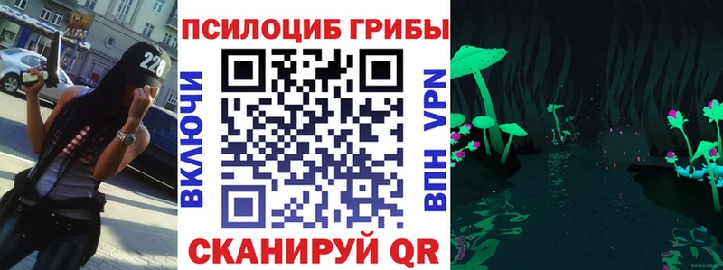 мега онион  Нерюнгри  Псилоцибиновые грибы Psilocybe 